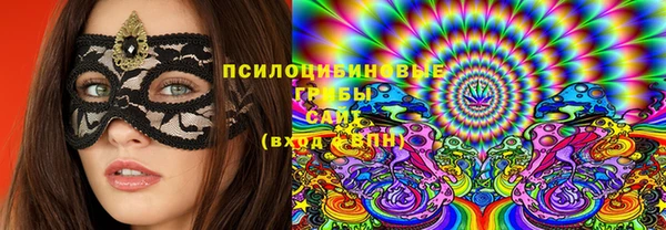 гидропоника Бородино