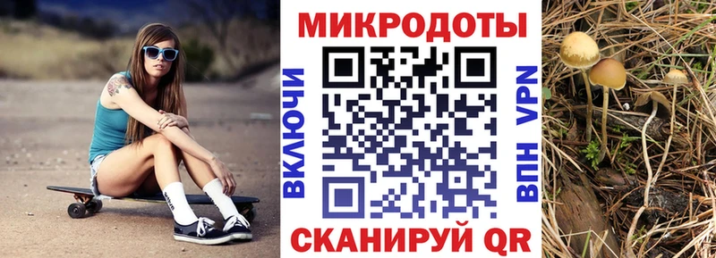 мориарти как зайти  mega сайт  Гусиноозёрск  Псилоцибиновые грибы MAGIC MUSHROOMS 
